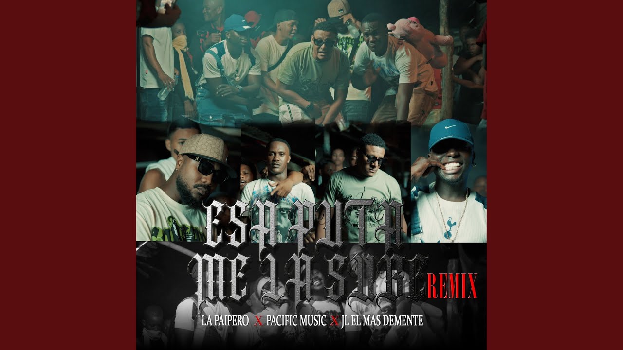 Esa Puta Me La Sube (Remix)
