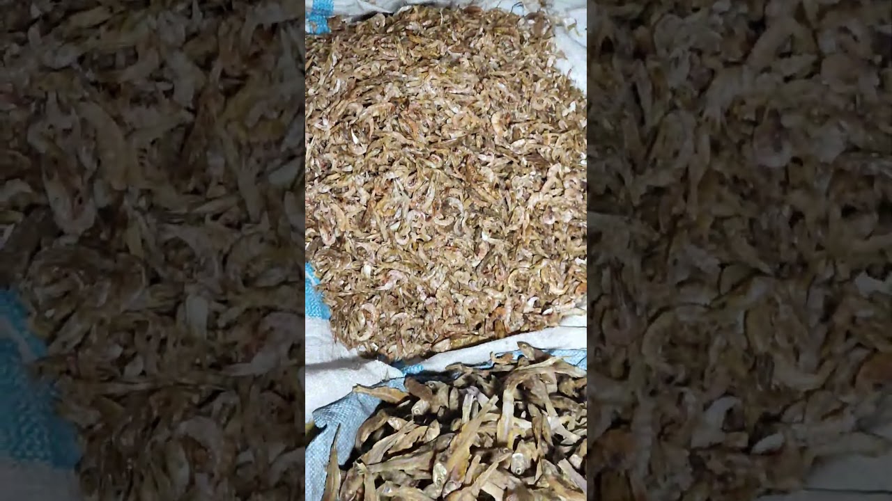 All types of dry fish #entertainment #youtubeshorts #funny #comedy #dryfish #coolvideo #myvideo