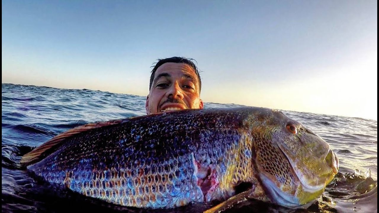 PESCA SUBMARINA. Denton 6.9kg a la espera.