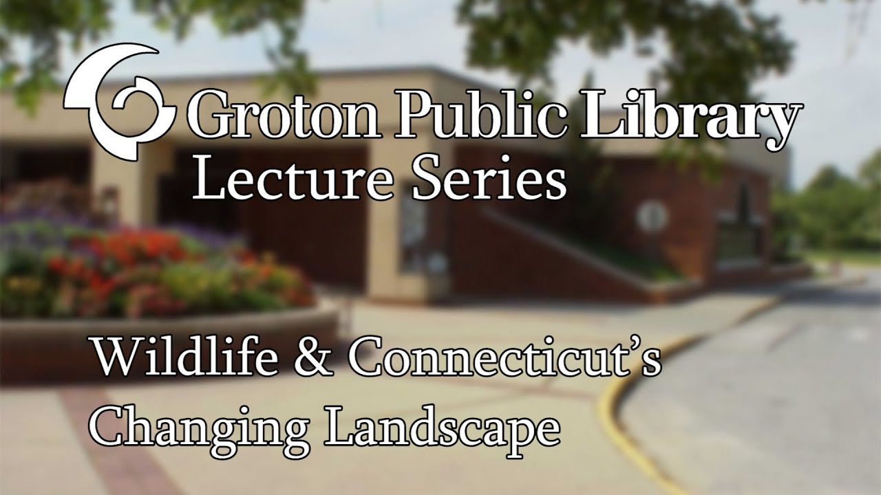 Wildlife & Connecticut's Changing Landscape