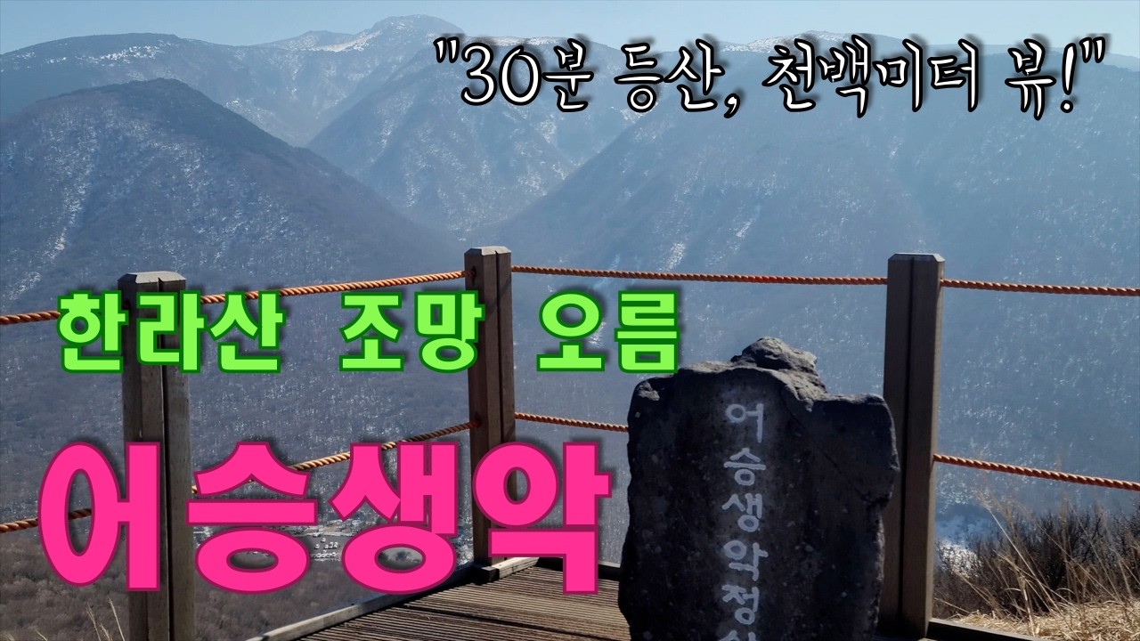 퇴미중 - 어승생악 - 30분 등산으로 천미터 뷰를 본다. 한라산을 느끼는 가장 쉬운 방법
