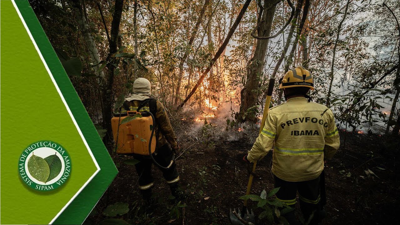Veja o que as queimadas na Amazônia têm a ver com a seca em São Paulo