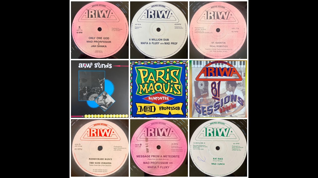 Dubwise Vinyl - Mad Professor Mix