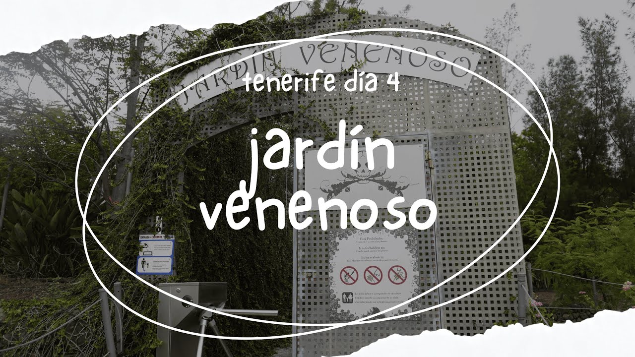 El lugar más PELIGROSO de Tenerife, Jardín Venenoso ☠️⚰️| Tenerife día 4 | Canarias
