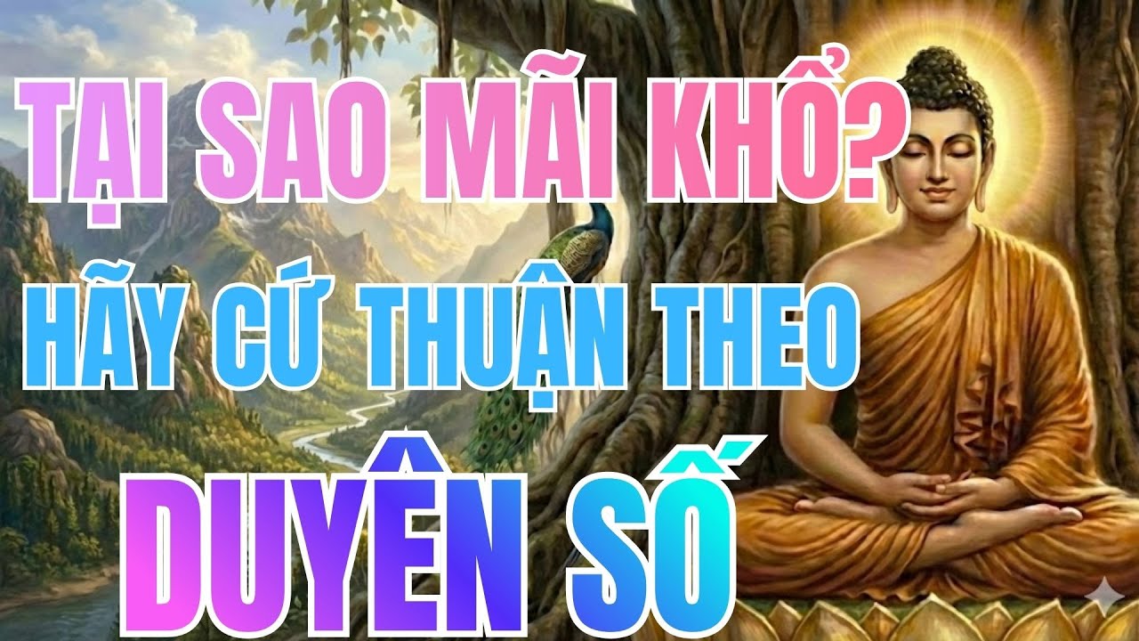 Nghe Lời Phật Dạy: Khổ Là Vì Cứ Muốn Mọi Thứ Như Ý - Biết Thuận Theo Duyên Số | Phật Pháp Tâm Thức