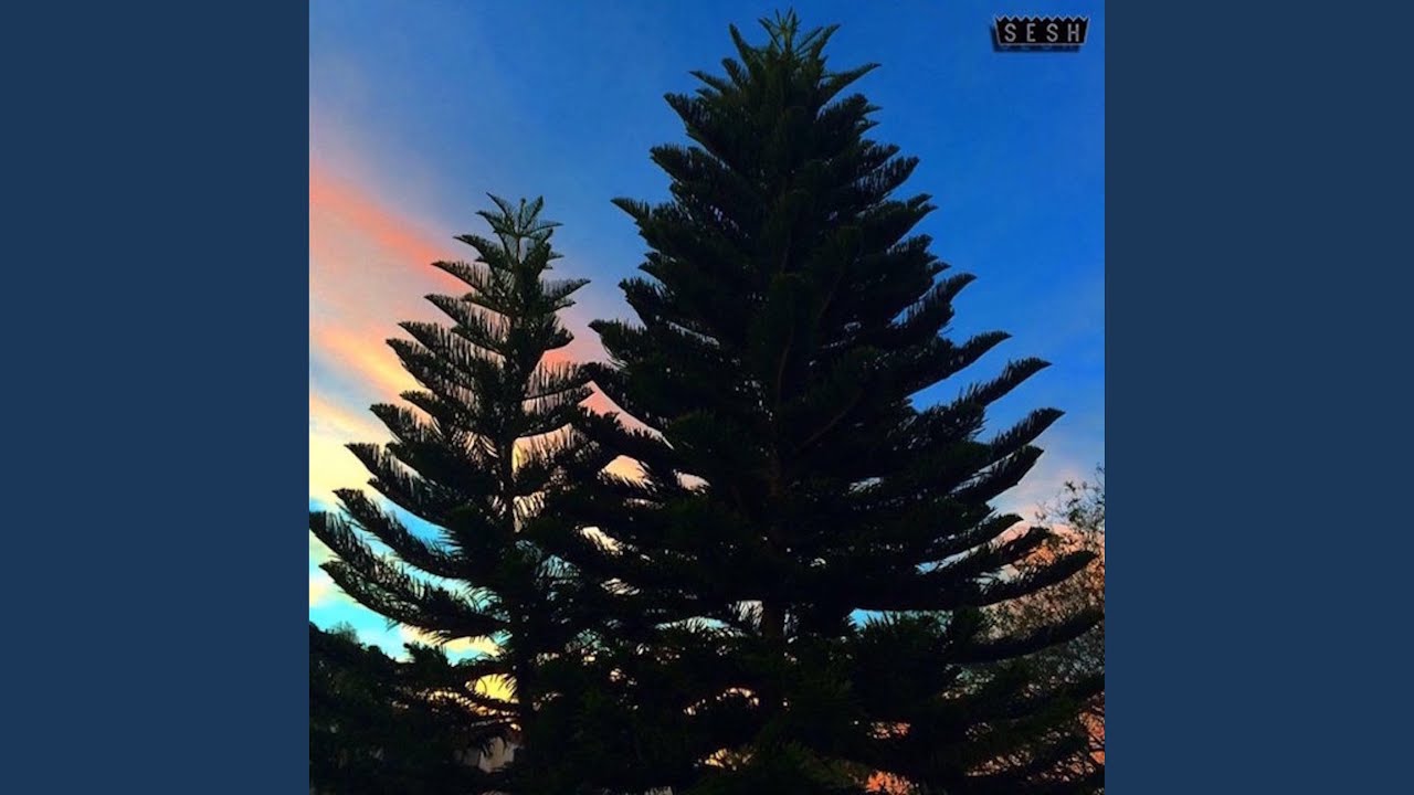 Dial Flower (feat. Drip-133)
