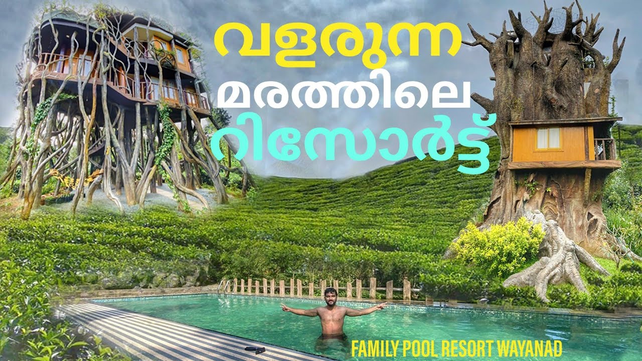 BLUE BELL RESORT WAYANAD | WAYANAD | POOL | TREE HOUSE | LOW BUDGET  FAMILY RESORT