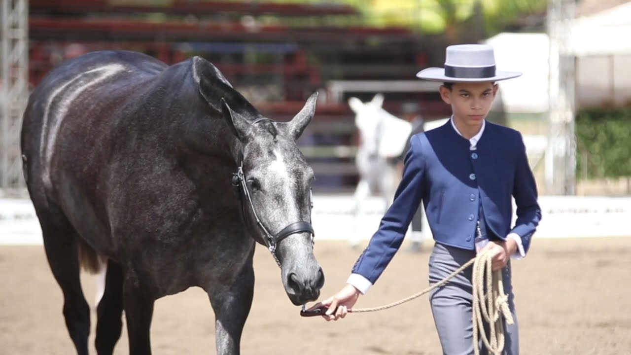 FERIA DEL CABALLO ESPAÑOL DE NICARAGUA 2021. TE LO CONTAMOS TODO!