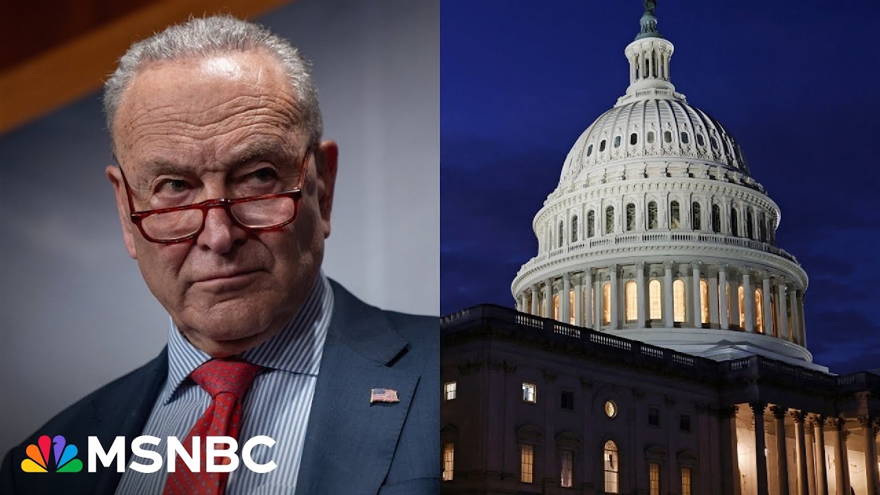 Schumer 'missed the moment': Dem Strategist  