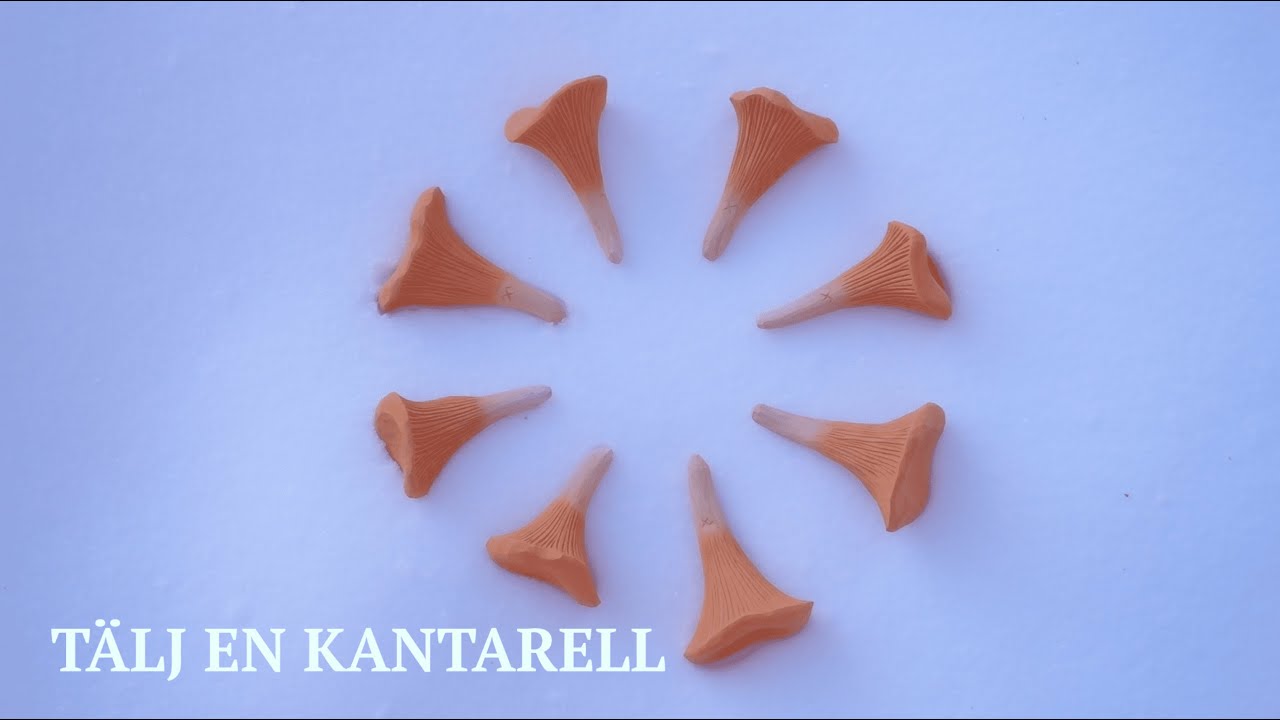 Tälj en kantarell | Slöjda en svamp