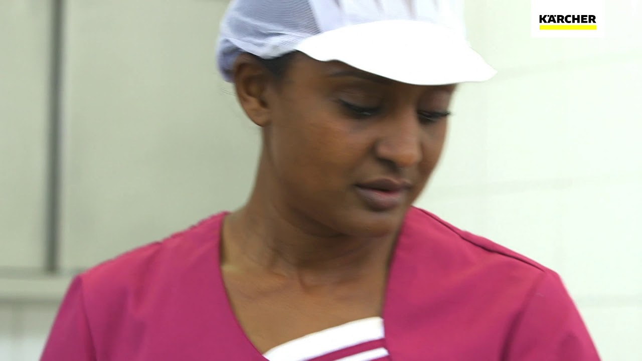 K&auml;rcher SGV 6/5 & 8/5 Stoomreinigers (Schoonex)