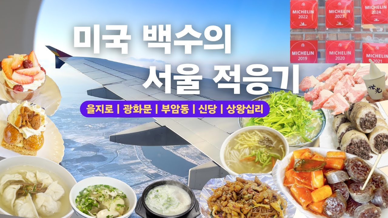 미국 백수가 한국 즐기는 법 - 서울편