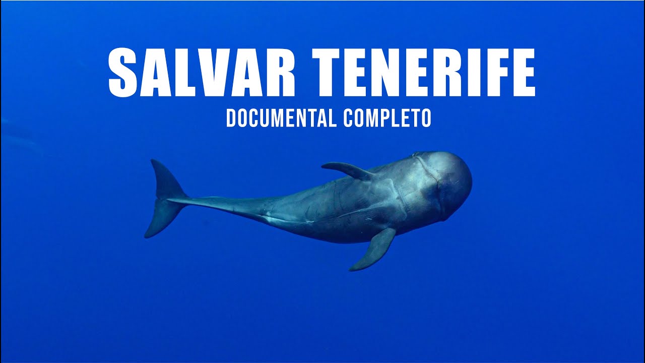 SALVAR TENERIFE. DOCUMENTAL COMPLETO (ENG SUB)
