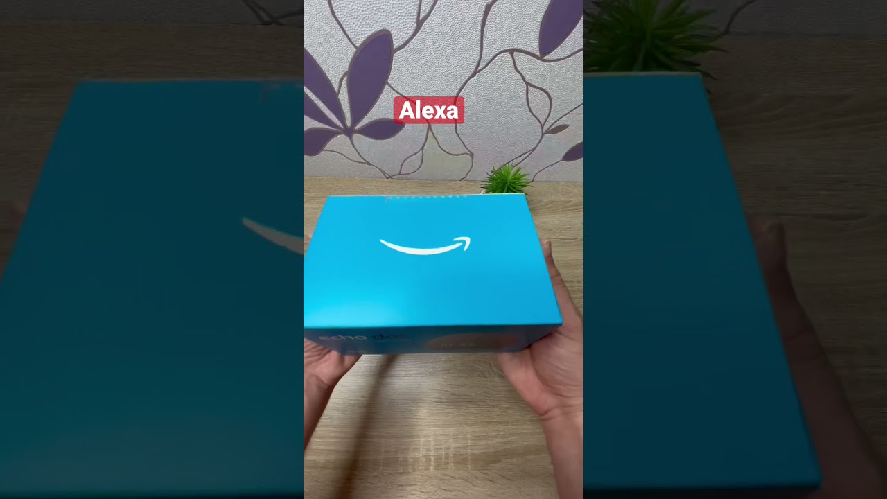Alexa Echo Dot 4 from Amazon