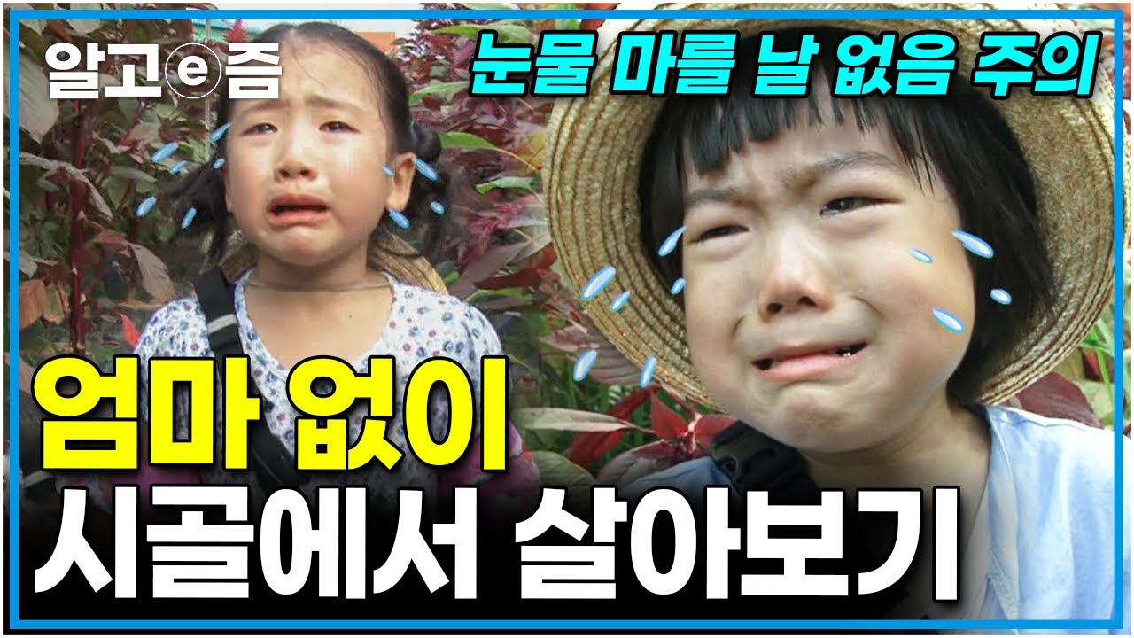 엄마가 해주던 일을 스스로 해보는 아이들! 친구가 사과 안 받아줘서 울고 인형이 없어져서 울고 쉬운 일 하나 없는데.. │엄마 없이 살아보기│알고e즘