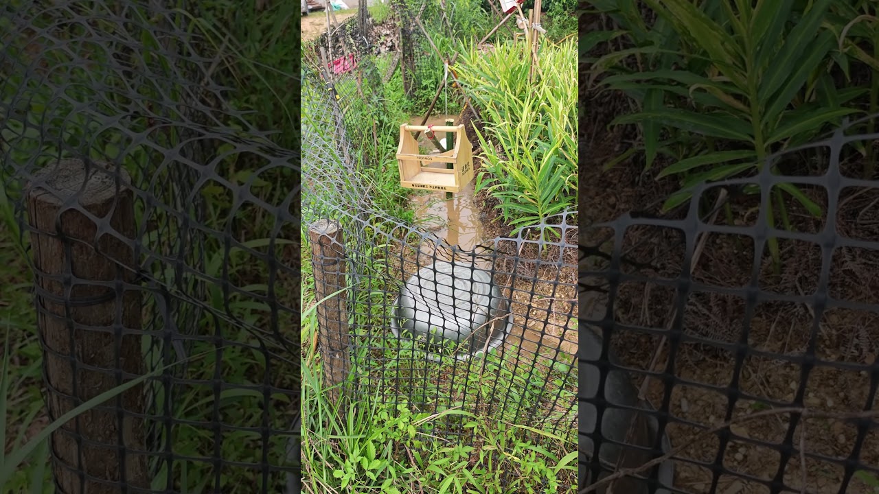 Principle of hydraulic driven bird repellent device
