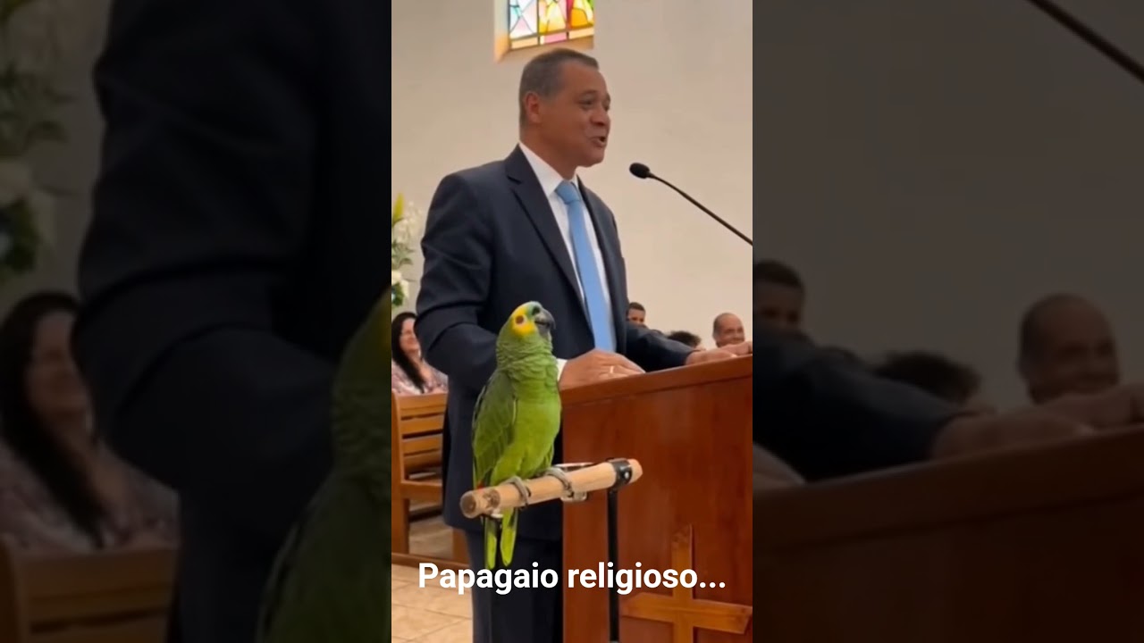 Papagaio religioso.