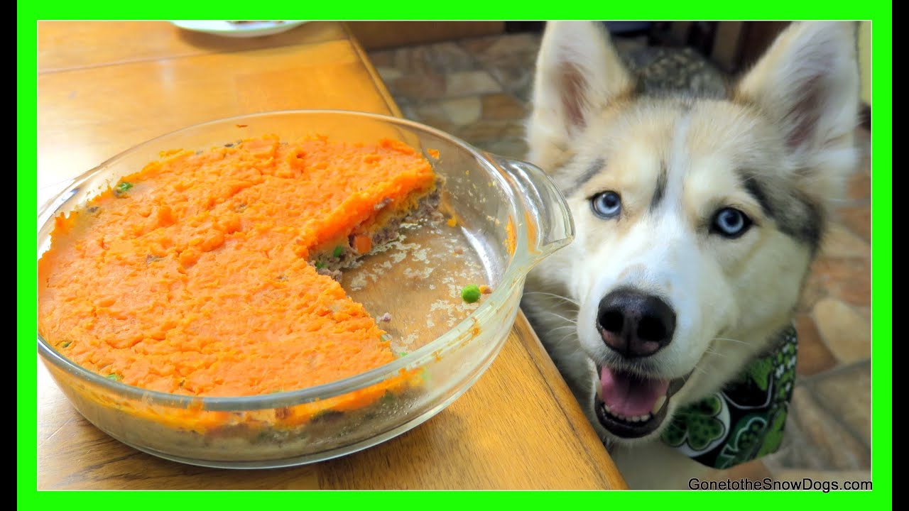 ST. PATRICK'S DAY SHEPHERD'S PIE for DOG TREATS DIY | Snow Dogs Snacks 46