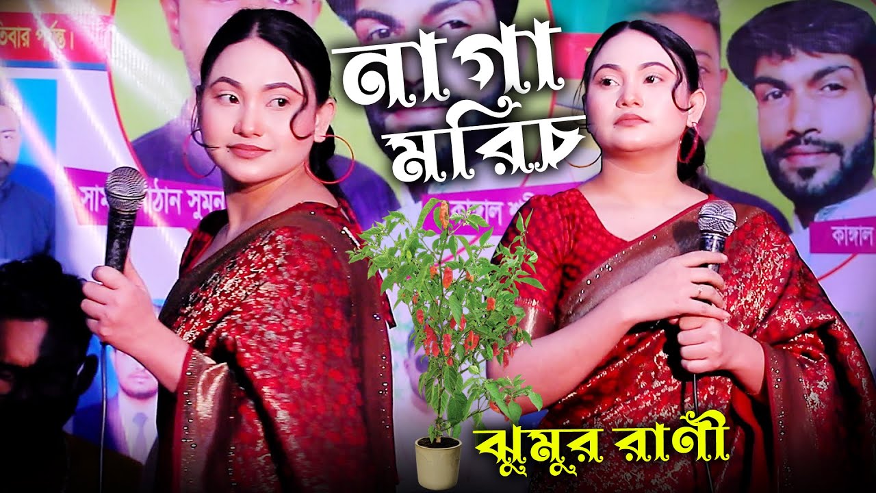 সব নিয়া নেরে মাওলা সব নিয়া নে শিল্পী ঝুমুর রানী Sob Niya Ne Re Maula baul dj song 2026 #dj_sumaiya