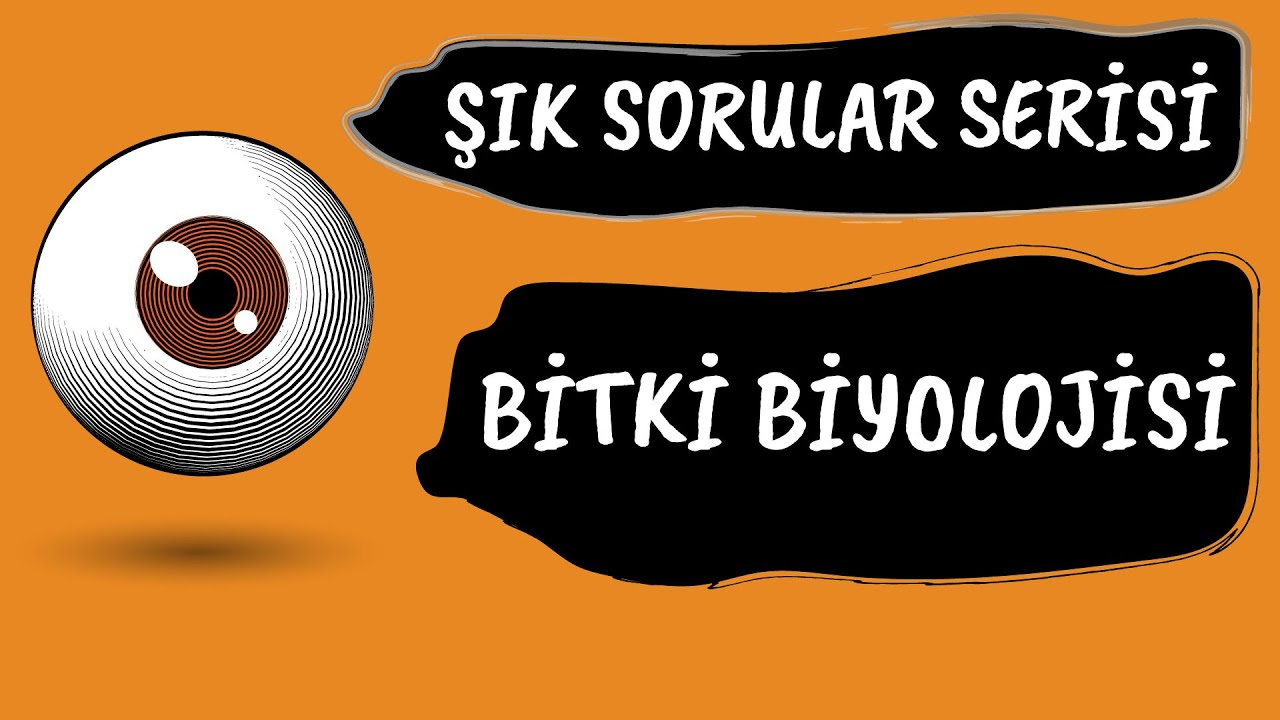 BİTKİLER İLE İLGİLİ SINAVDA GELEBİLECEK 11 ÖNEMLİ SORU #ŞIKSORULAR