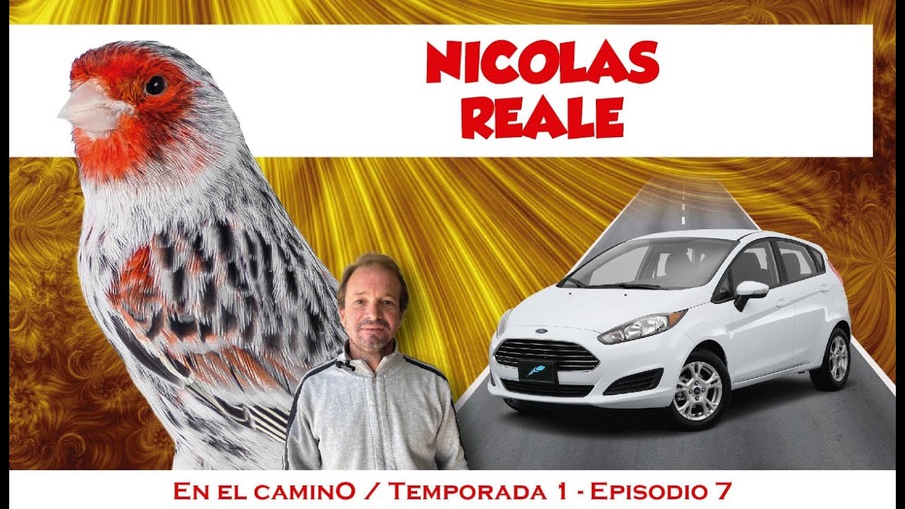 Visitamos el criadero de Nicolas Reale