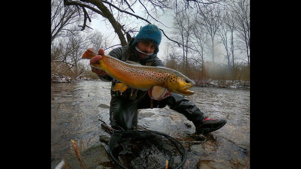 Big Wild Brown Trout During Ice Storm