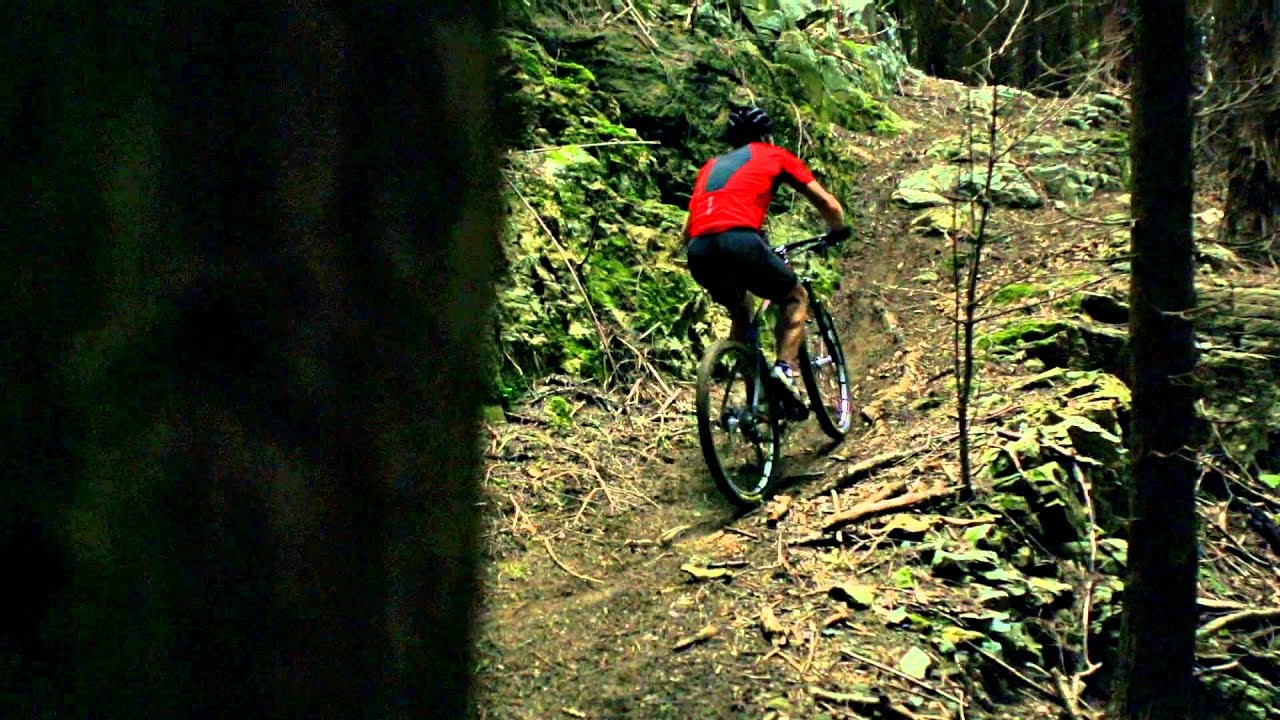 Orbea Alma - 4x4 technology
