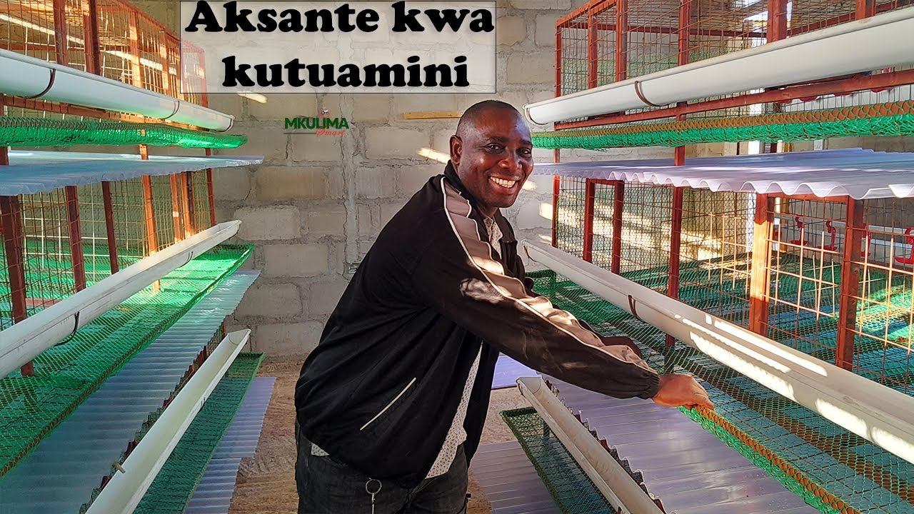 FAIDA 10 ZA KUFUGA KUKU KWA KUTUMIA LOCAL KEJI 2024