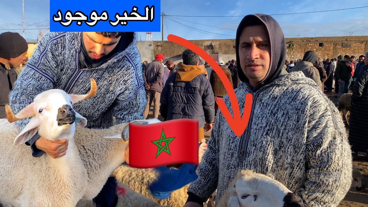 اليوم من سوق ثلات أولاد فارس 10/02/2026 خير موجود والتمن كاين🔥