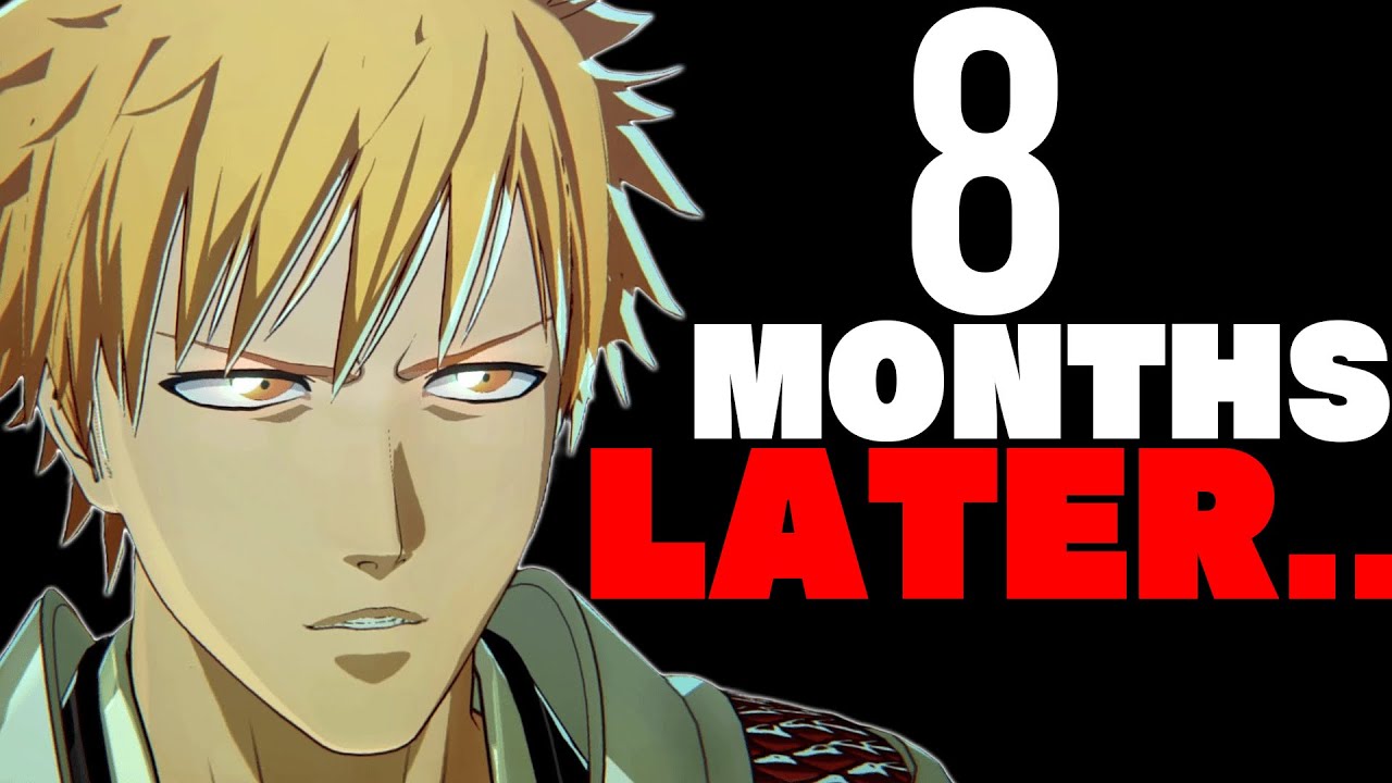 Bleach Rebirth Of Souls: 8 Months Later