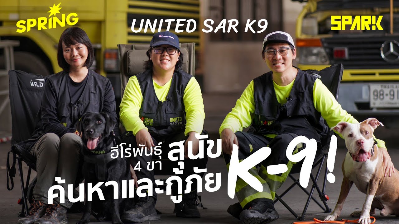 ฮีโร่พันธุ์ 4 ขา ! สุนัขค้นหาและกู้ภัย UNITED SAR K9