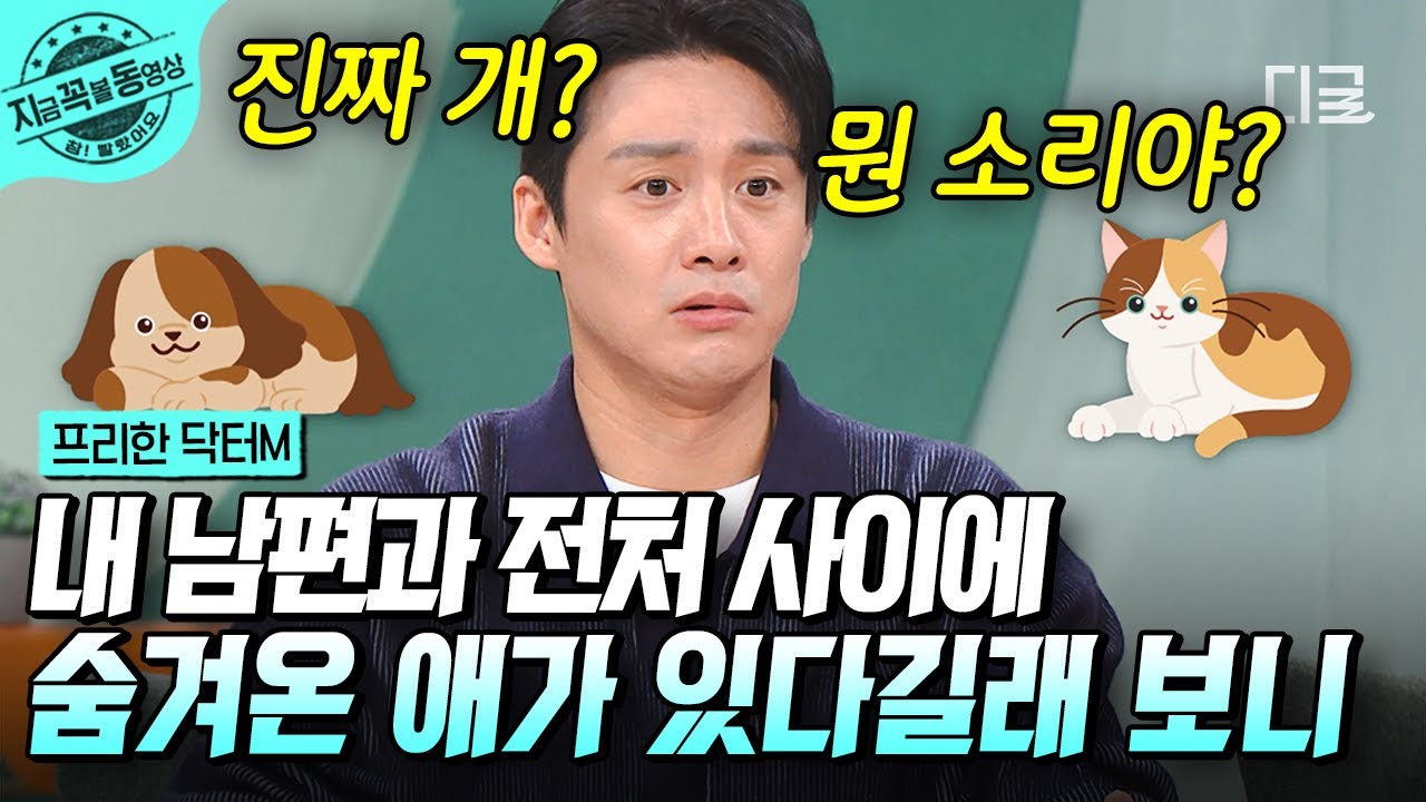 [#프리한닥터M] 남편과 전처 사이 강아지? 외도를 저지른 남편의 황당하고도 뻔뻔한 변명! 