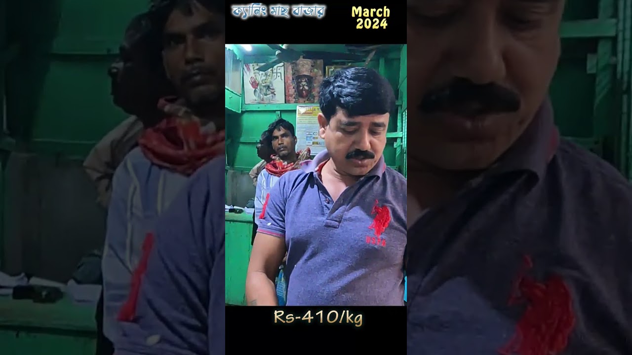 মাছের দাম ক্যানিং 2024|| Kolkata fish market || fish price 2024 || 