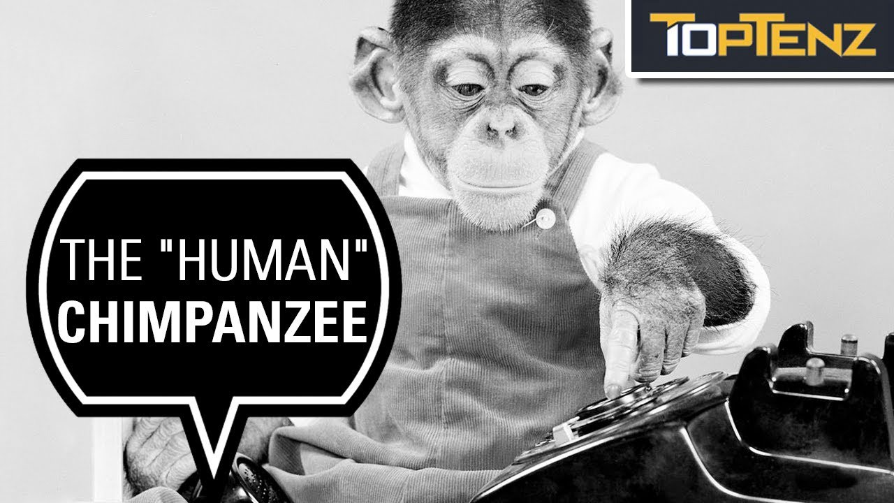 10 Real Animals And Their Legendary Exploits