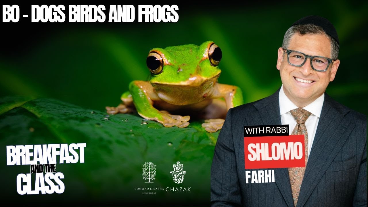 Bo - Dogs Birds and Frogs | Rabbi Shlomo Farhi 