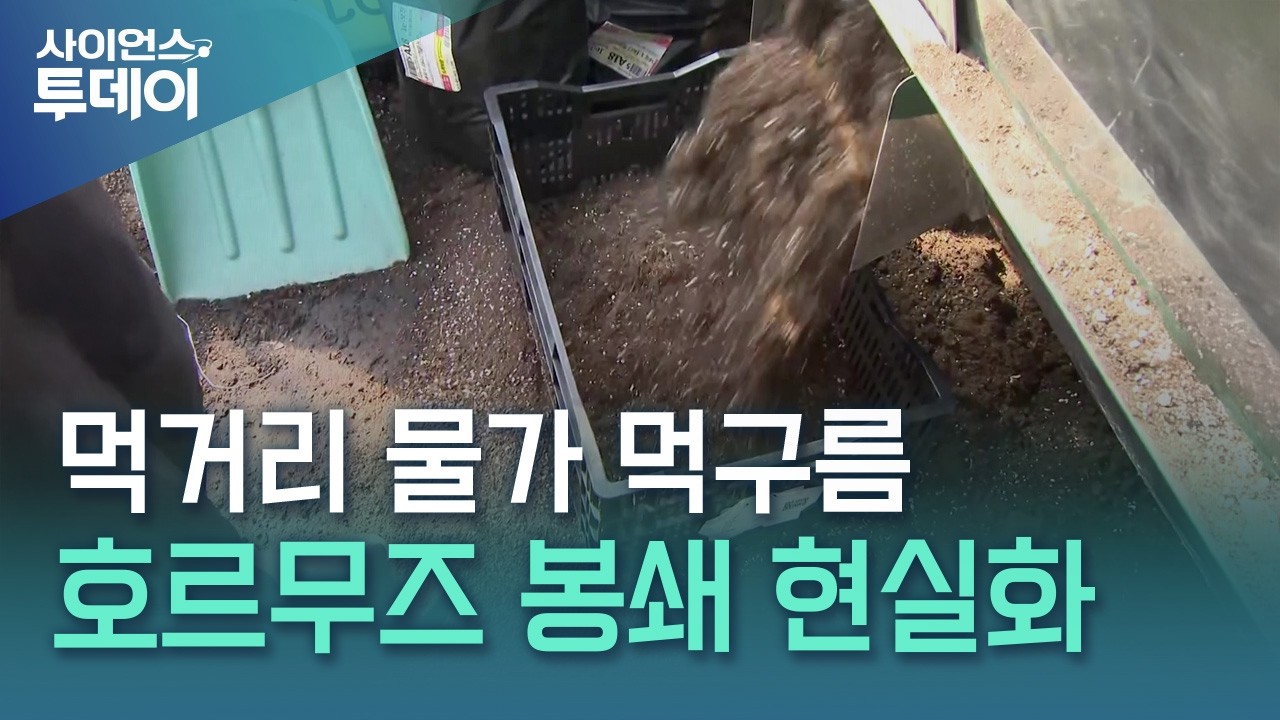 석유에 비료까지 막힌 호르무즈...'물가 충격' 재현 우려 / YTN 사이언스