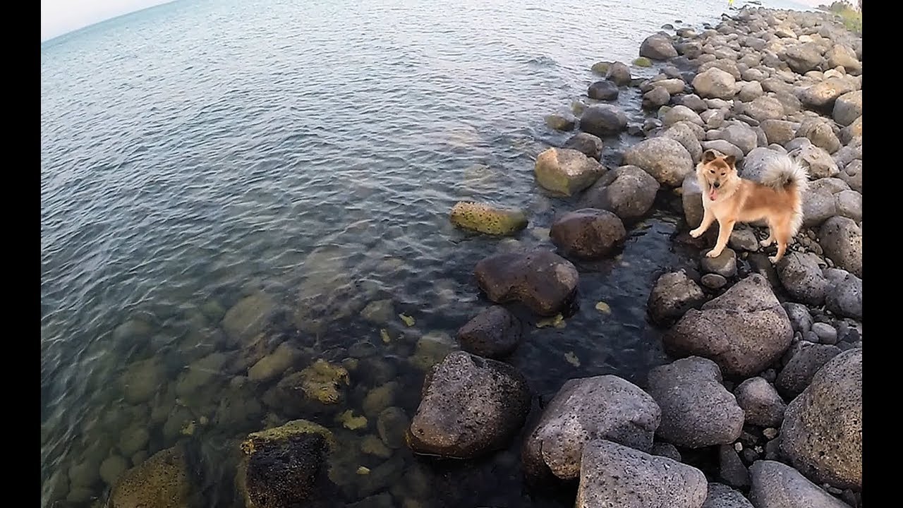 יששש עם היורש - דיג בכנרת עם הבן ! Fishing with my son in the Sea of Galilee | ארז כהן סרטוני דיג
