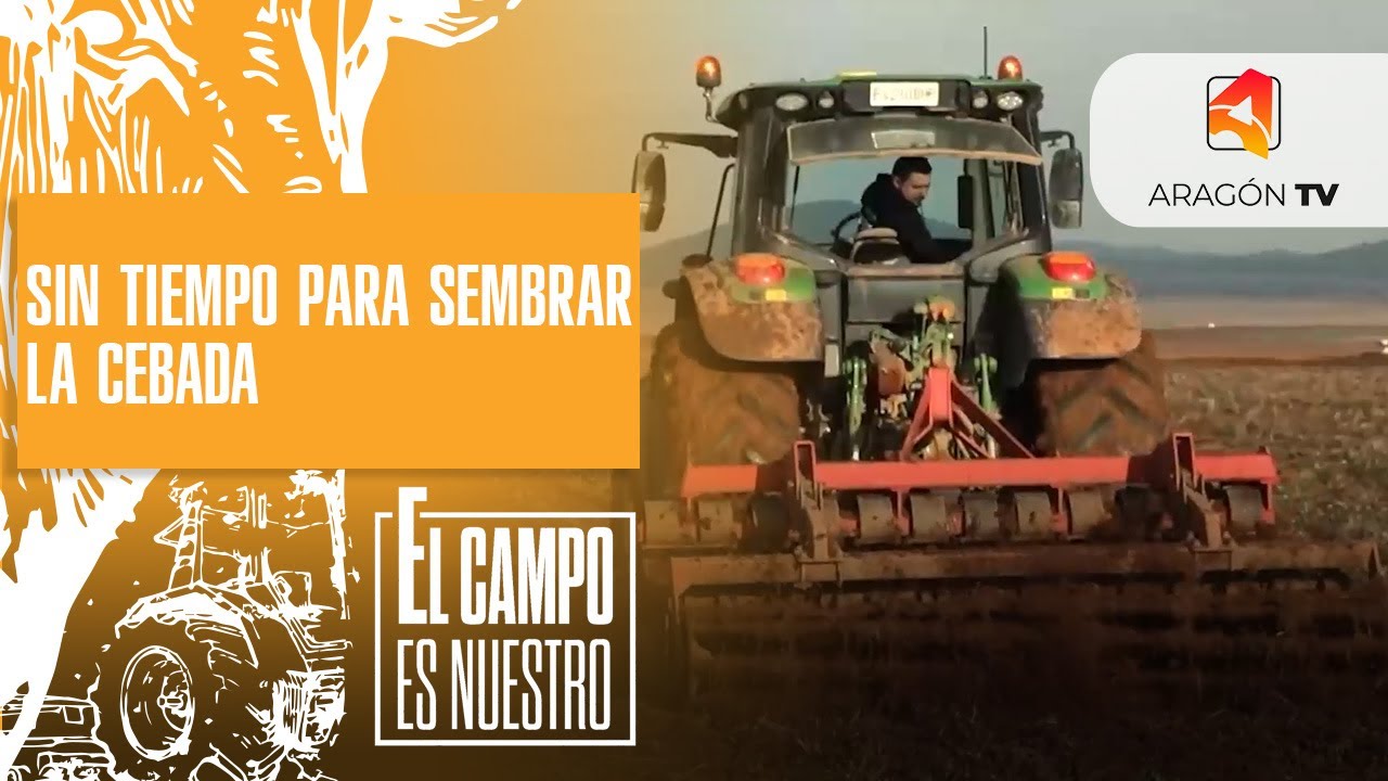 Tiempo límite para sembrar la cebada