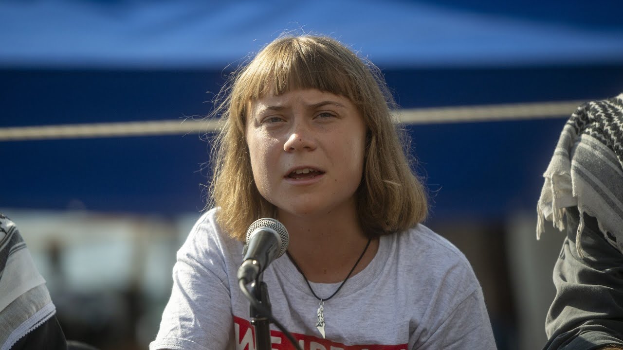 ‘Swedish doom goblin’ Greta Thunberg strikes again in latest activist stunt