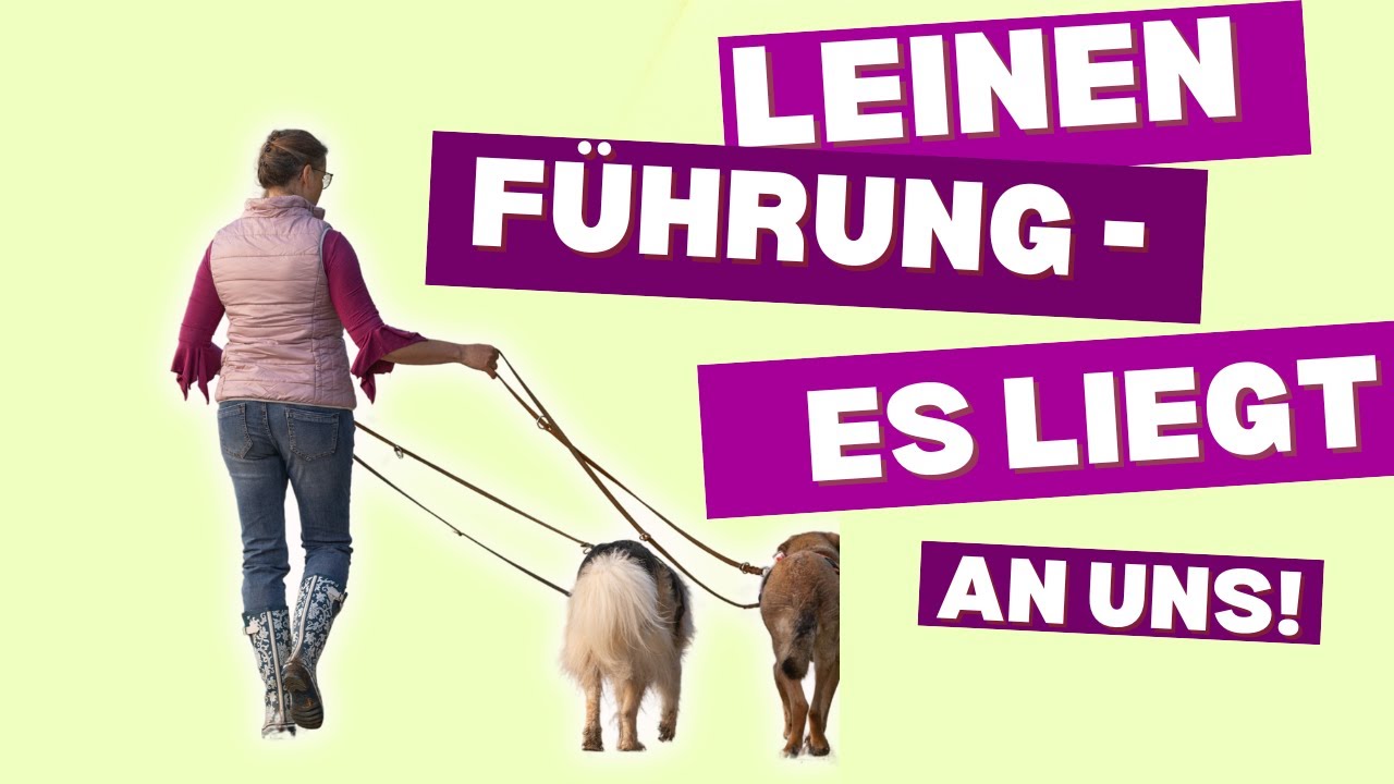 KÖRPERSPRACHE-Magie: Wie WIR die Leinenführigkeit unserer Hunde wirklich STEUERN
