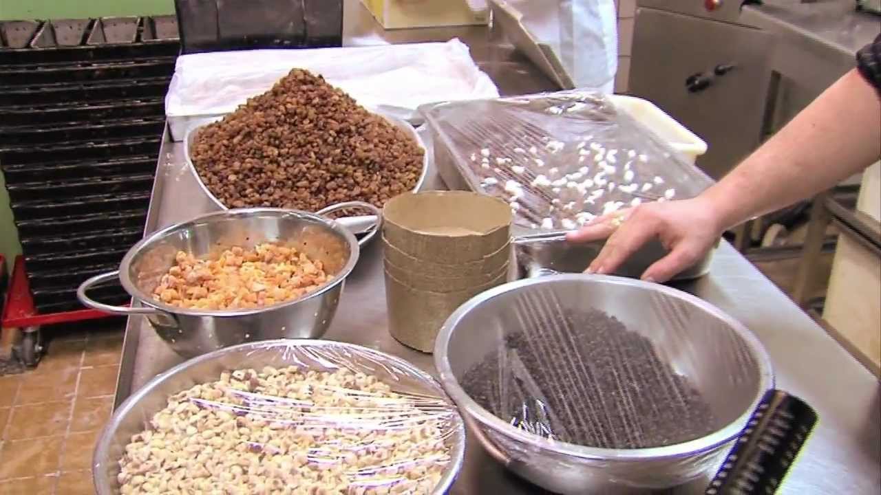 Kijkje in de keuken van Schiedamse bakker
