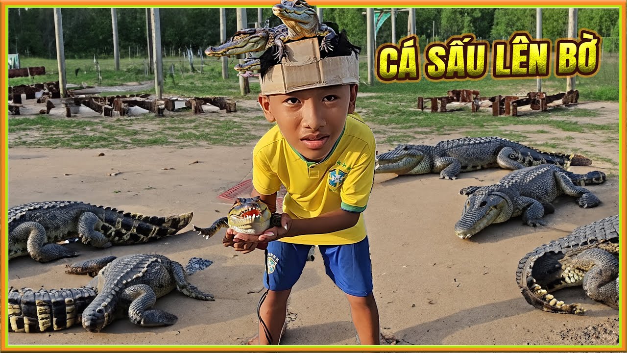 Cá Sấu Lên Bờ Ở Công Viên - Trần Vy Vy Tập 60