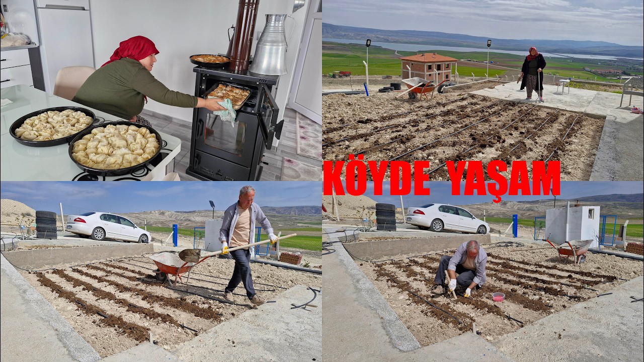 KÖYDE YAŞAM BAHÇE EKİMİ SALATALIK FASULYE ÇEŞİTLERİ BAYRAMA HAZIRLIK