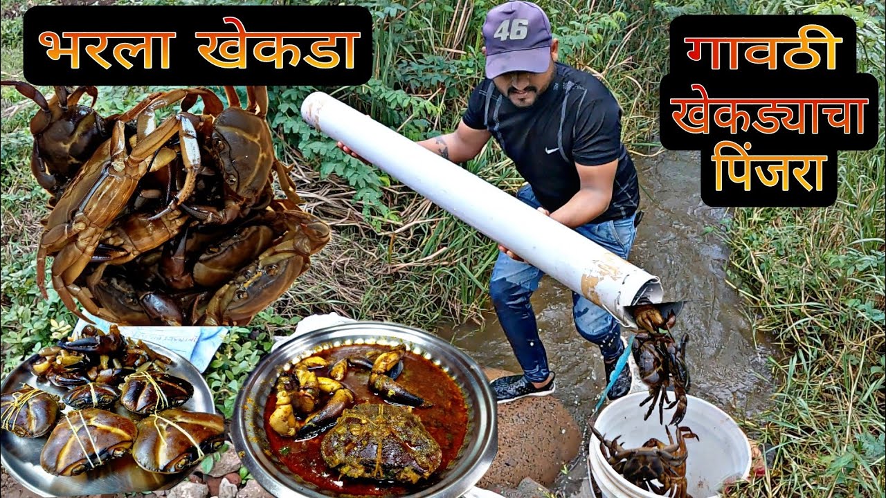 खेकडे पकडण्याची पध्दत🦀How To Catch Crabs🦀खेकडे पकडण्याची सोपी पध्दत। #crabcurry