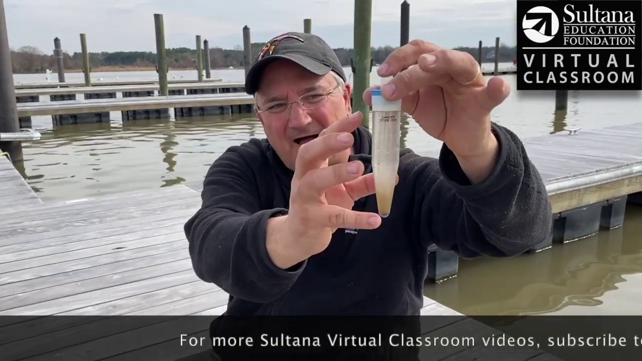 Catching Plankton in the Chester River