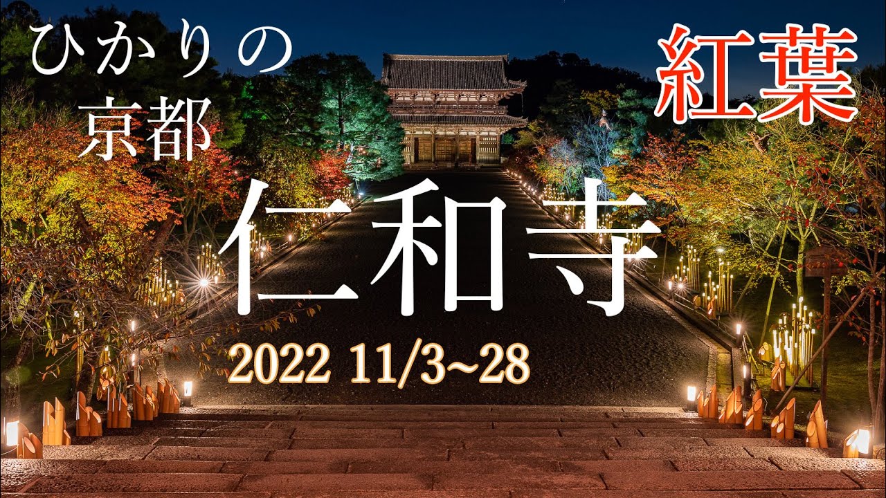 ひかりの京都 仁和寺 秋のライトアップ2022 : Hikari no Kyoto Ninna-ji Temple Autumn Light Up 2022