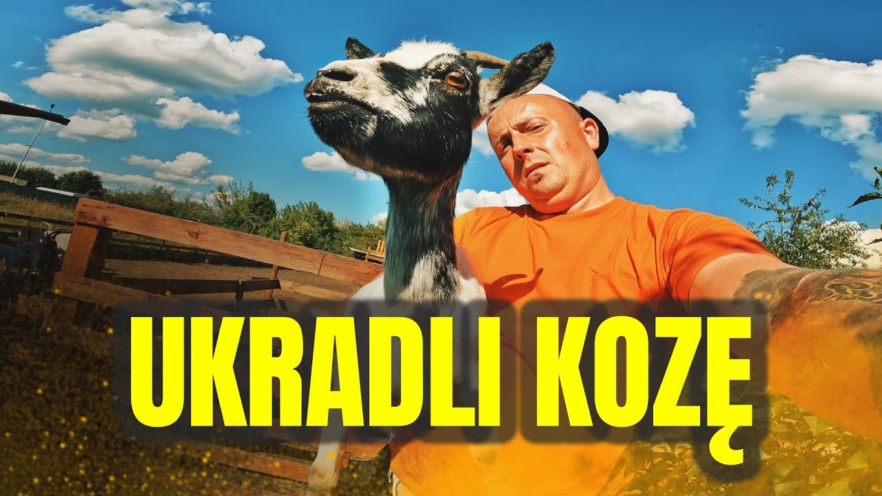 ❌ KTOŚ UKRADŁ MOJĄ KOZĘ ❌ moje mini zoo / odc. 726