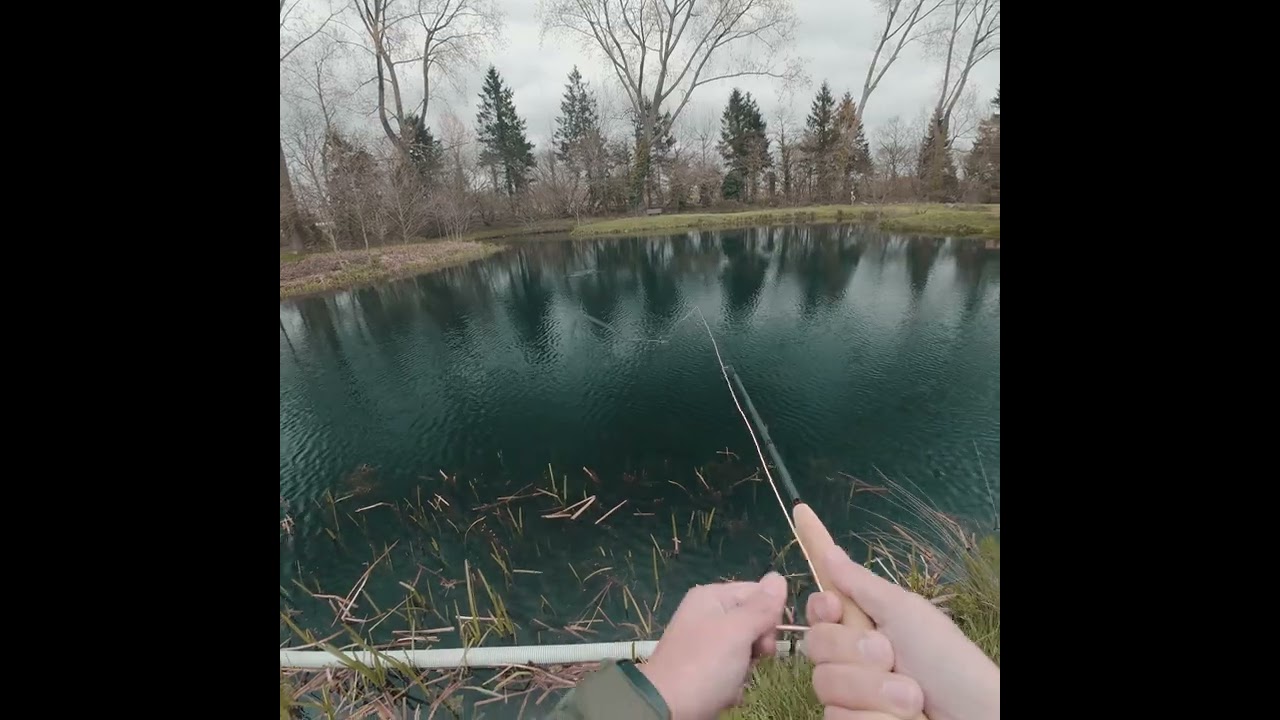 Fly fishing - attack on strike Indicator #flyfishinglife #fishing #flyfishing #dryflyfishing