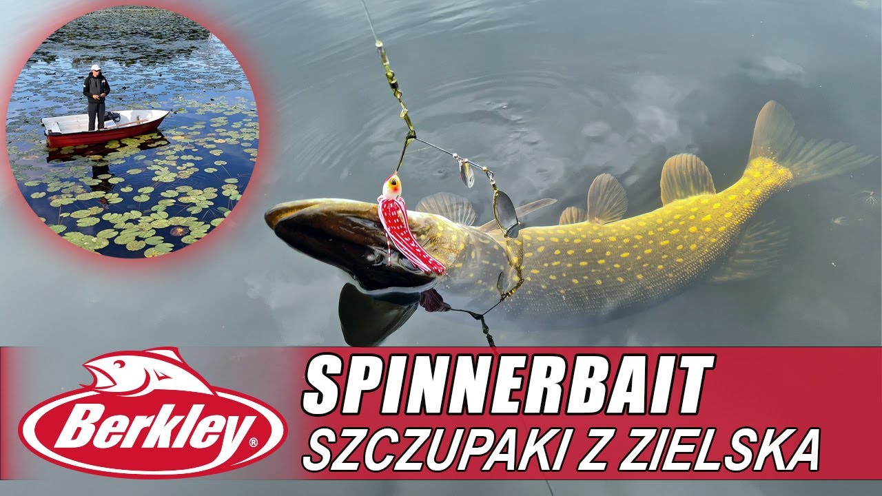 Spinnerbait - szczupaki z zielska !