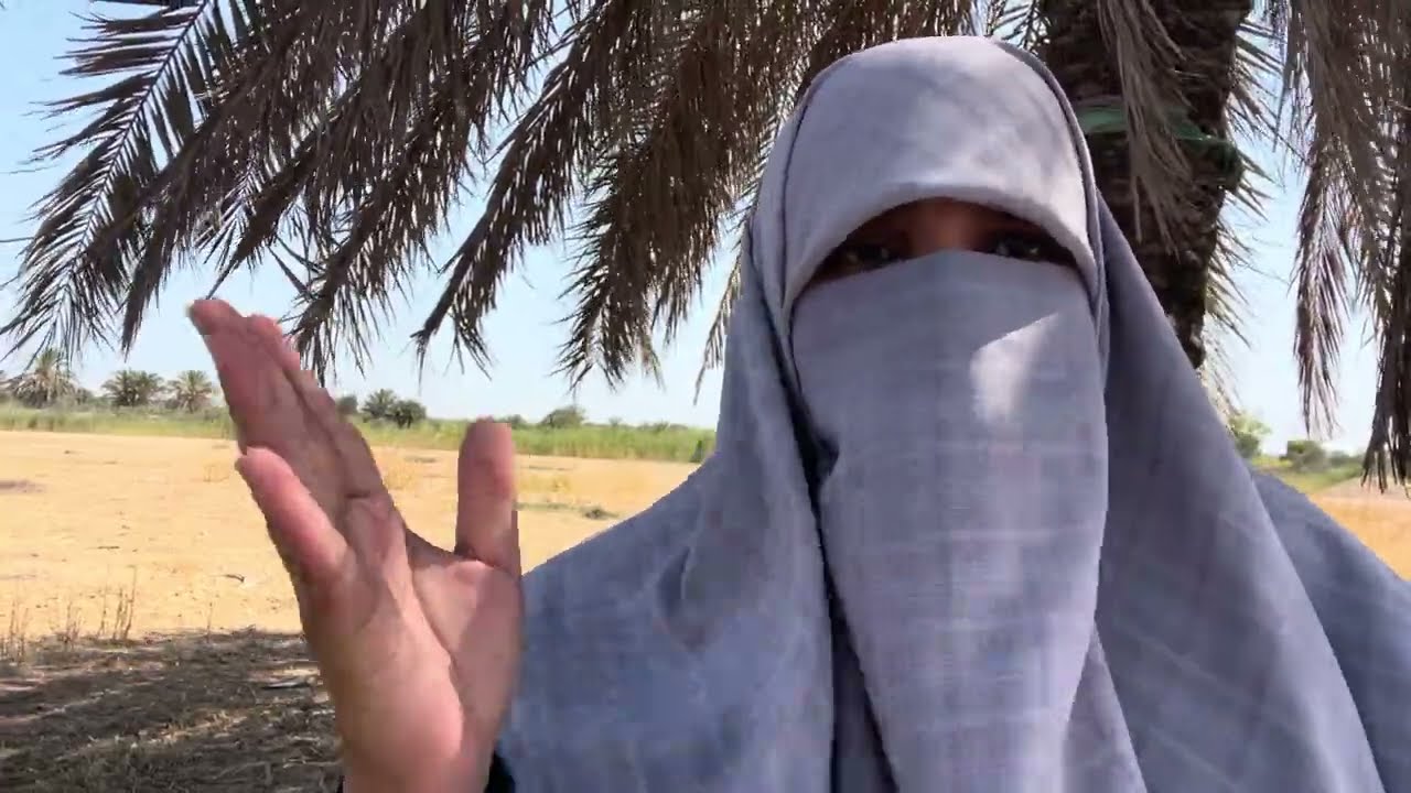 الملوحة (الجزء الثاني) مشاكل و مظاهر و علاج